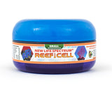 Advanced Cell Formulas