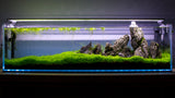 Aquatop High Clarity Bookshelf Aquarium