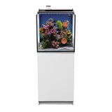 Aquatop Recife ECO 40 Gallon All-in-One Aquarium System (Complete)
