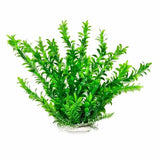 Aquatop Store Display: FREE Plant Rack w/ Plant Purchase!