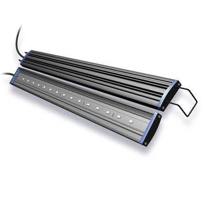 RENO Freshwater LED Strip Light