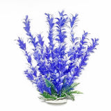 Aquatop Store Display: FREE Plant Rack w/ Plant Purchase!