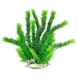 Aquatop Store Display: FREE Plant Rack w/ Plant Purchase!