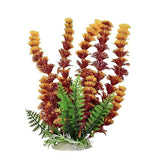 Aquatop Store Display: FREE Plant Rack w/ Plant Purchase!