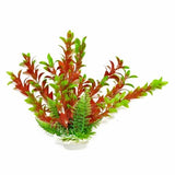 Aquatop Store Display: FREE Plant Rack w/ Plant Purchase!