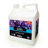 Foundation Elements - Liquid Supplements