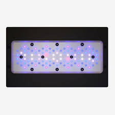 EcoTech Marine Radion Blue XR30 LED Light - Gen 6 - Aquatica Superstore