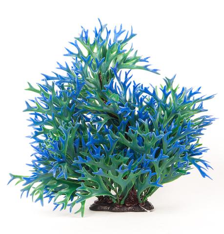 Aquatop Multi-Color Green/Blue Staghorn Plant Decor - Aquatica Aquarium Gallery Fish Store Cleveland Ohio