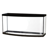 Aqueon Glass Aquarium (Standard)