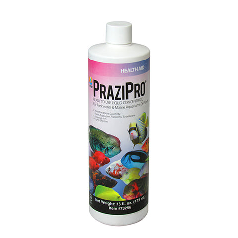 Hikari PraziPro Liquid Concentrate