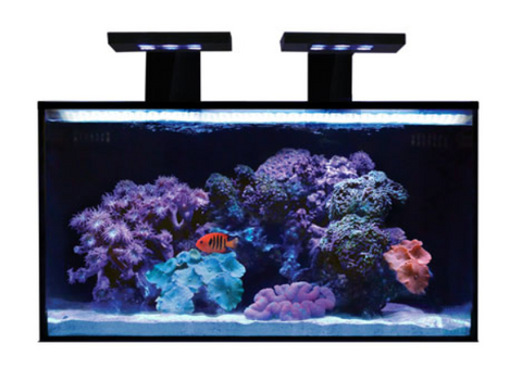 Innovative Marine Nuvo Fusion 20 Gallon Aquarium + 2 x 18W LED Fixtures Kit