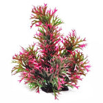 AquaTop Staghorn Style Plant - Assorted Colors