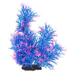 AquaTop Staghorn Style Plant - Assorted Colors